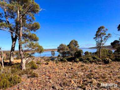 Residential Block For Sale - TAS - Tods Corner - 7030 - Magnificent Tods Corner, Great Lake  (Image 2)