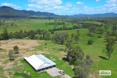 Residential Block For Sale - QLD - Widgee - 4570 - Hilltop 4 brm Lowset Home with VIEWS!  (Image 2)