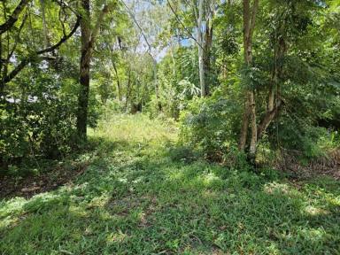 Residential Block For Sale - QLD - Forrest Beach - 4850 - 4,041 SQ.M. (JUST UNDER 1 ACRE) BEACH BLOCK IN RURAL AREA!  (Image 2)