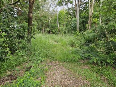 Residential Block For Sale - QLD - Forrest Beach - 4850 - 4,041 SQ.M. (JUST UNDER 1 ACRE) BEACH BLOCK IN RURAL AREA!  (Image 2)