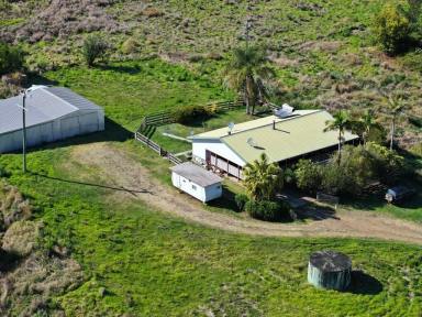 Acreage/Semi-rural For Sale - NSW - Kyogle - 2474 - COUNTRY STYLE LIVING  (Image 2)
