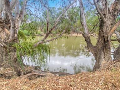 Acreage/Semi-rural For Sale - NSW - Gillenbah - 2700 - 'AMAZING' - WITH RIVER FRONTAGE  (Image 2)