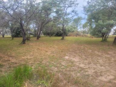 Residential Block For Sale - QLD - Forrest Beach - 4850 - APPROX. 988 SQ.M. BLOCK AT END OF COURT - BUY WITH NEIGHBOURING BLOCK!  (Image 2)