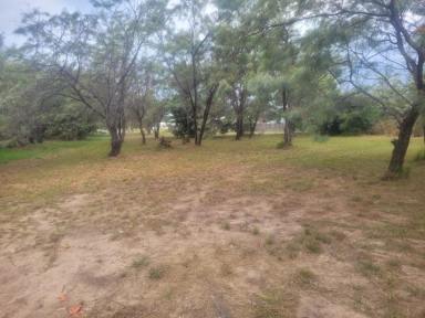 Residential Block For Sale - QLD - Forrest Beach - 4850 - APPROX. 988 SQ.M. BLOCK AT END OF COURT - BUY WITH NEIGHBOURING BLOCK!  (Image 2)