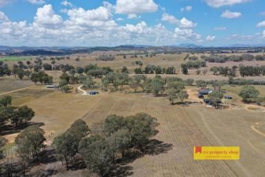 Other (Rural) For Sale - NSW - Mudgee - 2850 - RURAL LIFESTYLE MADE EASY  (Image 2)