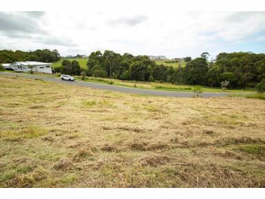 Residential Block For Sale - NSW - Red Head - 2430 - STUNNING BLOCK OF LAND WITH DA APPROVAL  (Image 2)