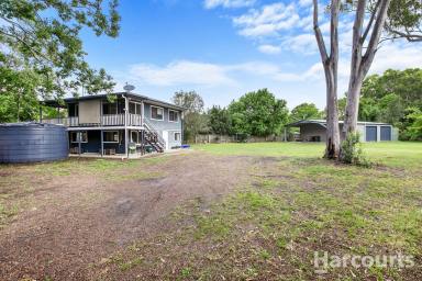 House Sold - QLD - Booral - 4655 - Vast Acreage Oasis: Your Retreat Beyond a Single Acre....  (Image 2)