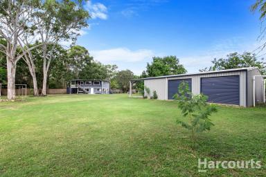 House Sold - QLD - Booral - 4655 - Vast Acreage Oasis: Your Retreat Beyond a Single Acre....  (Image 2)