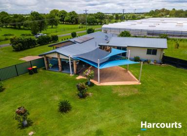House For Sale - QLD - Calavos - 4670 - Acreage Lifestyle Living At Its Finest  (Image 2)