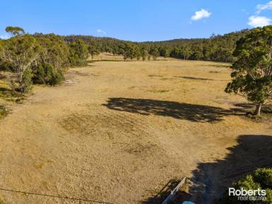 Residential Block For Sale - TAS - Forcett - 7173 - Huge land parcel delivers location, lifestyle and enticing potential  (Image 2)