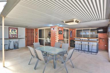 House For Sale - VIC - Mildura - 3500 - THE BAR, THE SHED, THE HOUSE  (Image 2)