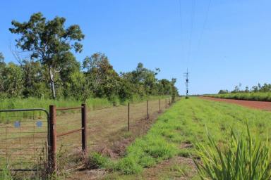 Other (Rural) For Sale - NT - Batchelor - 0845 - 22 Acres ready for a new owner!  (Image 2)