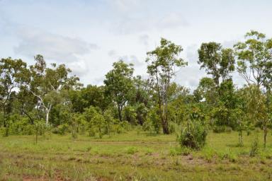 Other (Rural) For Sale - NT - Batchelor - 0845 - 22 Acres ready for a new owner!  (Image 2)