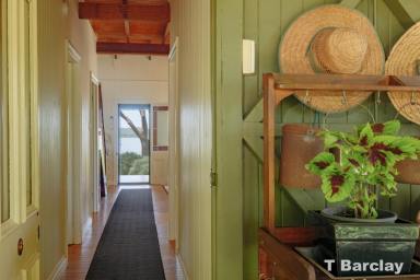 House Sold - QLD - Lamb Island - 4184 - Charming Waterfront Cottage on Tina Ave, Lamb Island  (Image 2)