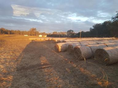 Mixed Farming For Sale - QLD - Glan Devon - 4615 - Mixed Farming with irrigation and elevated grazing land.  (Image 2)