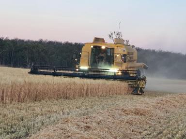 Mixed Farming For Sale - QLD - Glan Devon - 4615 - Mixed Farming with irrigation and elevated grazing land.  (Image 2)