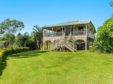 Lifestyle For Sale - NSW - Doubtful Creek - 2470 - Serenity, Rural Lifestyle  (Image 2)