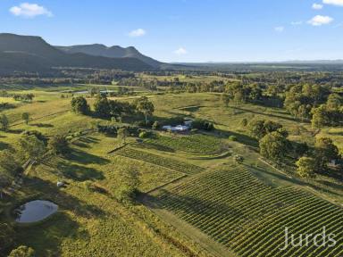 Lifestyle For Sale - NSW - Pokolbin - 2320 - DRESS CIRCLE HOMESTEAD IN HUNTER VALLEY WINE COUNTRY  (Image 2)