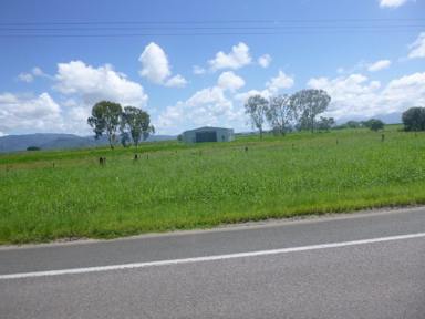 Lifestyle For Sale - QLD - Ingham - 4850 - RURAL PROPERTY JUST OUTSIDE INGHAM!  (Image 2)