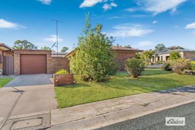 House For Sale - VIC - Flora Hill - 3550 - Excellent, Well Kept, and Low Maintenance Home  (Image 2)