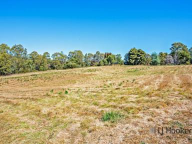 Residential Block For Sale - TAS - Tarleton - 7310 - The Block of your Dreams  (Image 2)