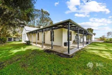 Cropping For Sale - SA - Millicent - 5280 - Fantastic Farming Opportunity in Tantanoola  (Image 2)