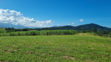 Other (Rural) For Sale - QLD - East Russell - 4861 - Acreage Property 10 Acres - Bramston Beach Road  (Image 2)