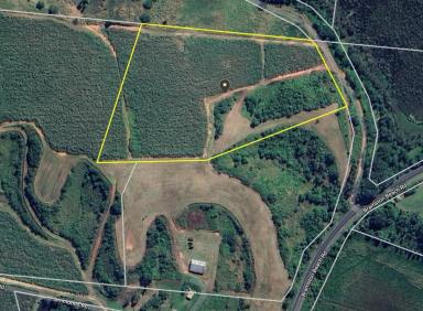 Other (Rural) For Sale - QLD - East Russell - 4861 - Acreage Property 10 Acres - Bramston Beach Road  (Image 2)