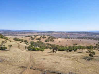 Mixed Farming For Sale - NSW - Willow Tree - 2339 - Spring Gully  (Image 2)