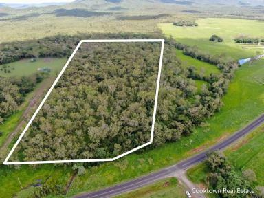 Residential Block For Sale - QLD - Cooktown - 4895 - 24 Acres on Endeavour Valley Road  (Image 2)