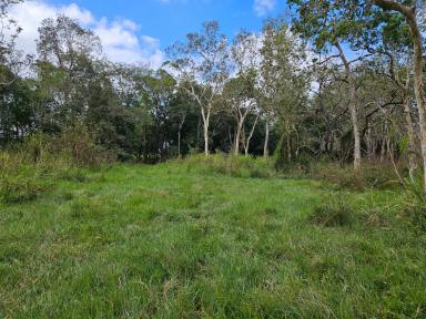 Residential Block For Sale - QLD - Cooktown - 4895 - 24 Acres on Endeavour Valley Road  (Image 2)