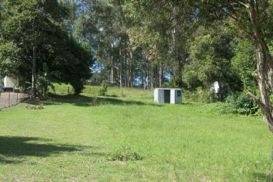 Residential Block Sold - NSW - Bonalbo - 2469 - Location, Space And Liveability  (Image 2)