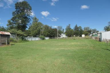 House For Sale - NSW - Old Bonalbo - 2469 - HIDDEN JEWEL  (Image 2)