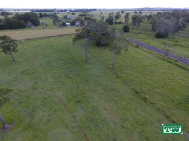 Mixed Farming For Sale - NSW - Broadwater - 2472 - IN THE MIDDLE OF THE VALLEY - 33 ACRES  (Image 2)
