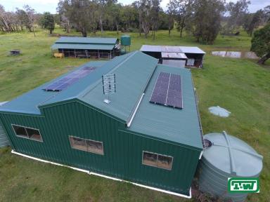 Mixed Farming For Sale - NSW - Broadwater - 2472 - IN THE MIDDLE OF THE VALLEY - 33 ACRES  (Image 2)
