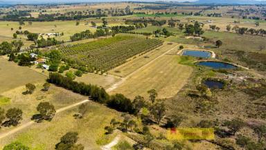 Lifestyle For Sale - NSW - Mudgee - 2850 - RARE 100 ACRE FARM JUST 18KM TO TOWN  (Image 2)