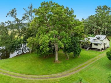 Lifestyle For Sale - NSW - Koonorigan - 2480 - Rural Lifestyle with Peace and Privacy  (Image 2)