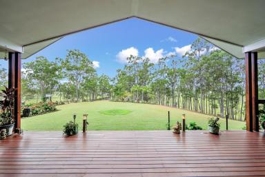 House For Sale - QLD - McIlwraith - 4671 - Stunning 4-bedroom, 2-bathroom house situated on a spacious 30.42 hectare property with 20 meg of water  (Image 2)