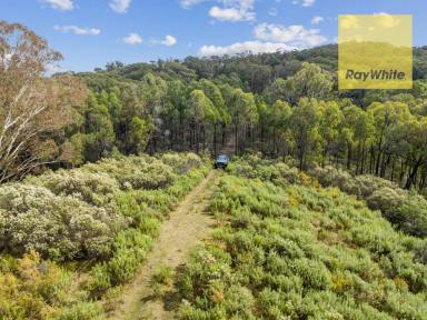 Lifestyle Sold - NSW - Crookwell - 2583 - On Top Of The Hill  (Image 2)