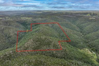 Other (Rural) Sold - NSW - Taralga - 2580 - 'Peaceful hidden gem, with acreage'  (Image 2)