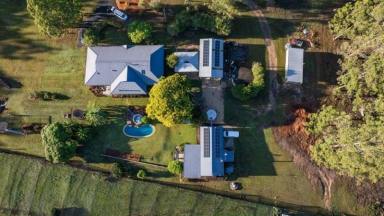 Business For Sale - NSW - Barraganyatti - 2441 - BLUEBERRY GREENS: BLUEBERRY FARM WITH MULTPLE INCOME STREAMS - FREEHOLD  (Image 2)