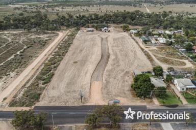 Residential Block For Sale - NSW - Wentworth - 2648 - Woolshed Drive Subdivision  (Image 2)