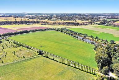 Cropping For Sale - VIC - Bairnsdale - 3875 - Highly Productive River Flat  (Image 2)