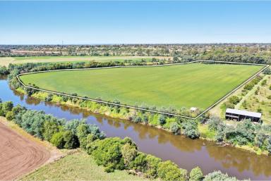 Cropping For Sale - VIC - Bairnsdale - 3875 - Highly Productive River Flat  (Image 2)
