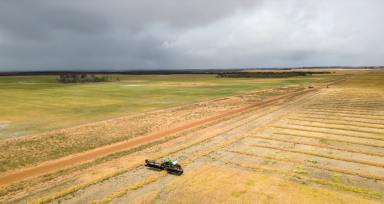 Mixed Farming For Sale - WA - Wellstead - 6328 - High Rainfall Opportunity  (Image 2)