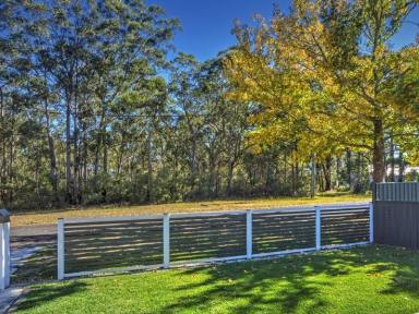 House Leased - NSW - Nowra - 2541 - Light filled with Scenic Outlook  (Image 2)