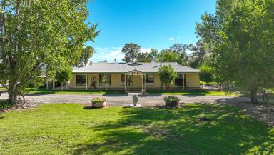 Lifestyle Auction - NSW - Tamworth - 2340 - COUNTRY LIVING THAT TICKS ALL THE BOXES  (Image 2)
