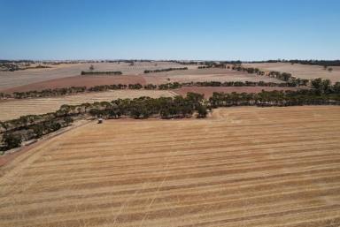 Other (Rural) For Sale - WA - York - 6302 - Elsie's: A Rural Paradise in Mount Hardey, York                        73.72ha(182acres)  (Image 2)