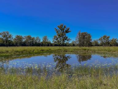 Lifestyle For Sale - NSW - Nabiac - 2312 - Discover Your Dream: 22 Hectares of Serene Landscape Near Nabiac  (Image 2)