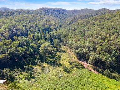 Residential Block For Sale - NSW - Putty - 2330 - Nature's Paradise with Biodiversity stewardship agreement  (Image 2)